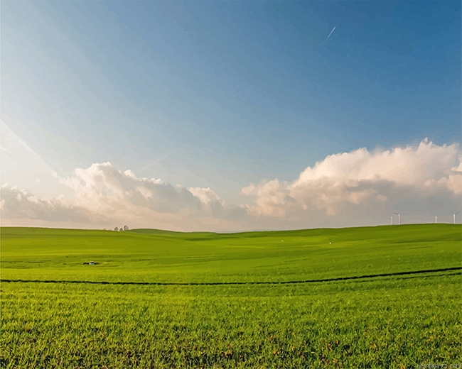 Green Field New Painting By Numberss.png