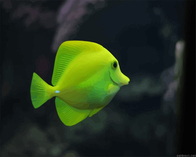 Green Fish Aquarium New Painting By Numberss.png