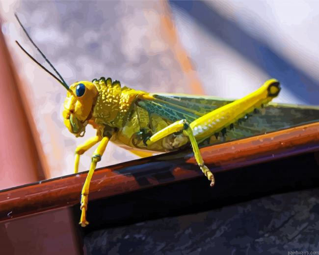 Green Locust Painting By Numberss.png