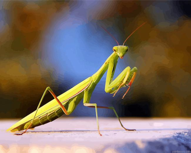 Green Mantis Insect Painting By Numberss.png