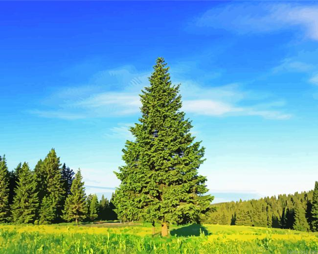 Green Pine Tree Painting By Numberss.png