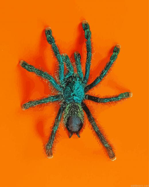 Green Spider Insect Painting By Numberss.png