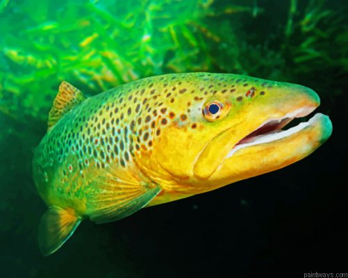 Green Trout Painting By Numbers.png