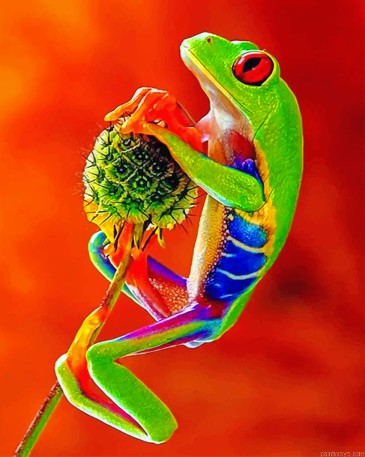 Green Frog Reptiles Painting By Numberss.png