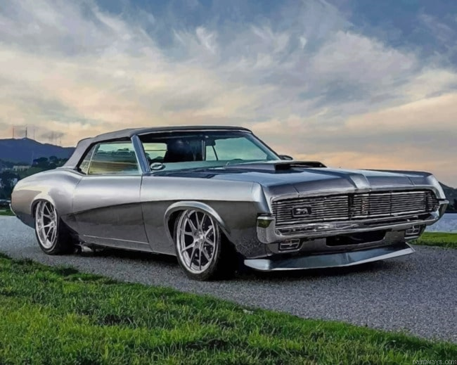 Grey Cougar Car Painting By Numberss.png
