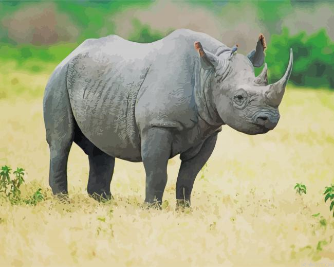 Grey Rhinoceros New Painting By Numberss.png
