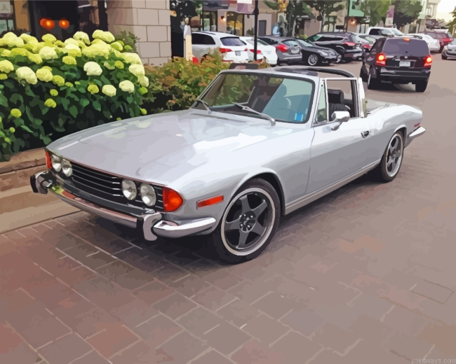 Grey Triumph Stag Painting By Numbers.png