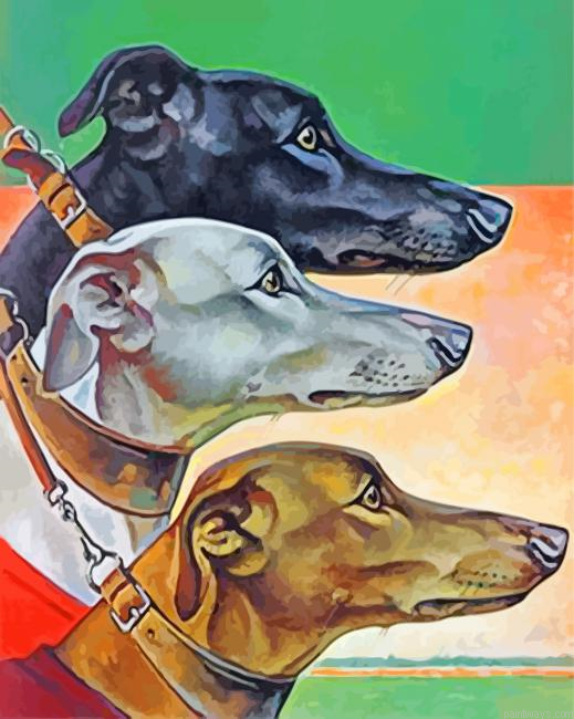 Greyhound Head Painting By Numberss.png