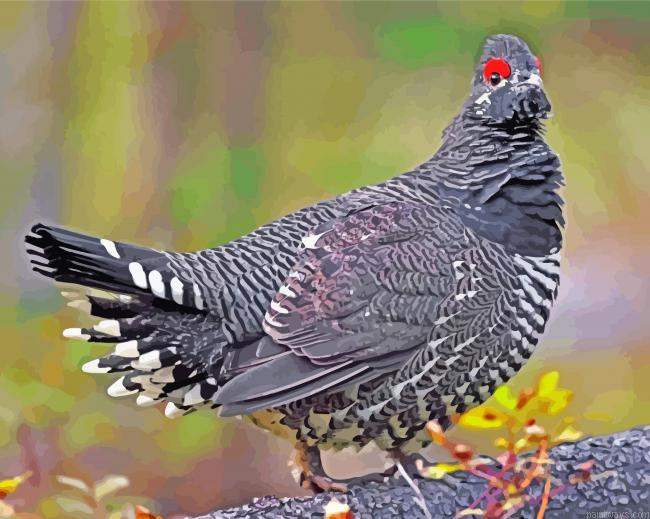 Grouse Bird Painting By Numberss.png
