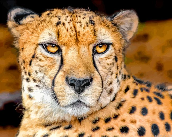 Guepard Face Painting By Numberss.png