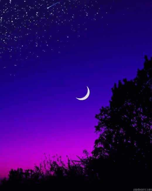 Half Moon Starry Night New Painting By Numberss.png