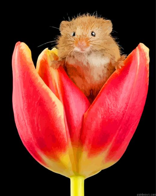 Hamster On Flower Painting By Numberss.png