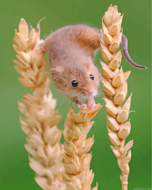 Hamster Trying To Eat Painting By Numbers.png