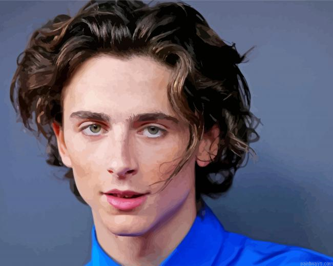 Handsome Timothee Chalamet Painting By Numberss.png