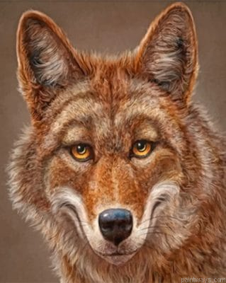 Happy Coyote Painting By Numbers.png