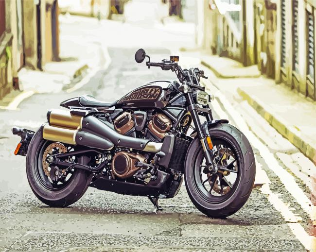Harley Motorcycle Painting By Numberss.png