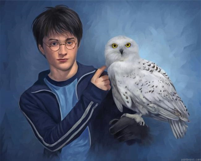 Harry Potter And Companion Hedwig Painting By Numbers.png