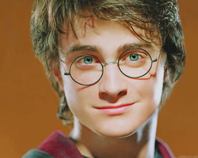 Harry Potter Daniel Radcliffe New Painting By Numberss.png