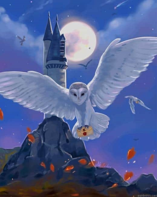 Harry Potter Hedwig New Painting By Numberss.png