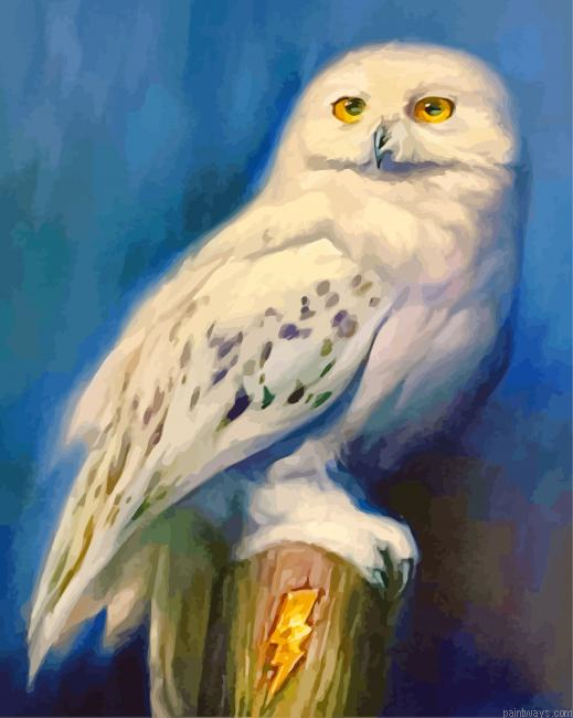 Harry Potter Hedwig Painting By Numberss.png