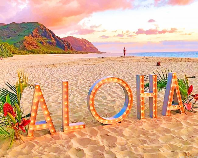Hawaii New Painting By Numberss.png
