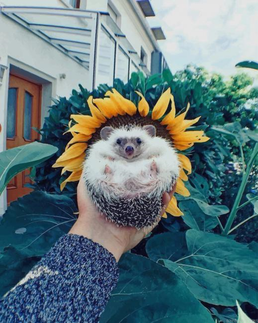 Hedgehog Sunflower Animals Painting By Numberss.png