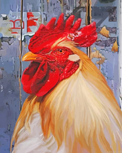 Hen Chicken Head Painting By Numberss.png