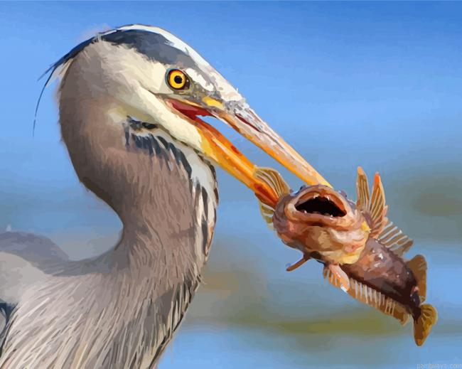 Heron Eating A Fish Painting By Numbers.png