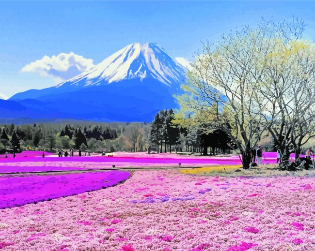 Hokkaido Painting By Numbers.png