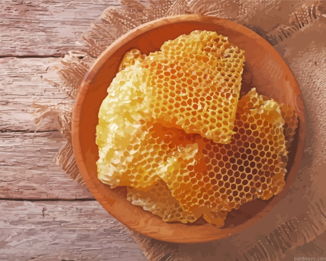 Honeycomb In Bowl Painting By Numberss.png