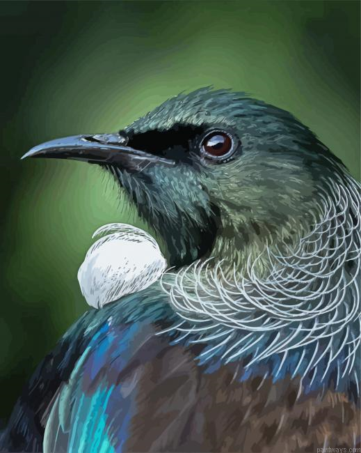 Honeyeater Tui Head Painting By Numberss.png