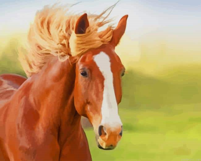 Horse Raning New Painting By Numberss.png