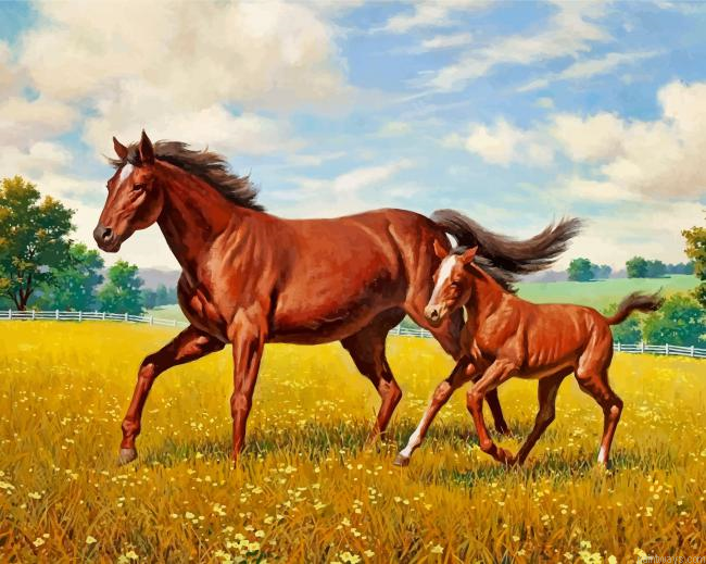 Horses In Meadow Painting By Numbers.png