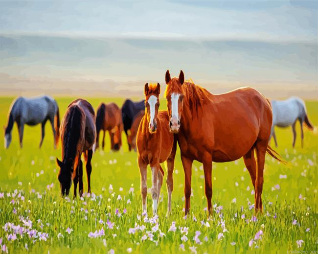 Horses In Meadow Painting By Numberss.png
