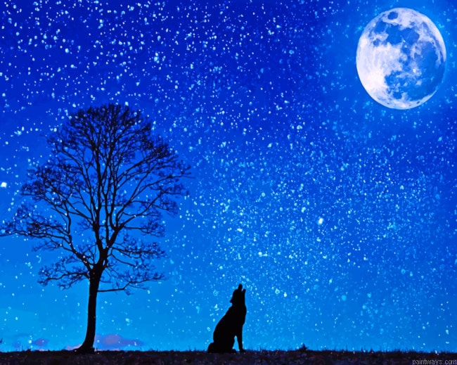 Howling Wolf Silhouette Animals Painting By Numberss.png
