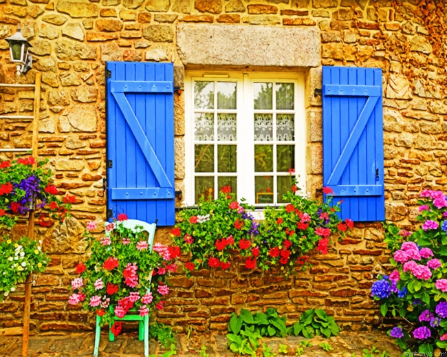 Hydrangea Flowers Painting By Numbers.png