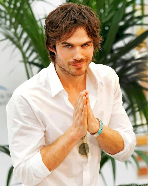 Ian Somerhalder Actor Painting By Numbers.png