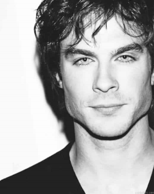 Ian Somerhalder Painting By Numbers.png