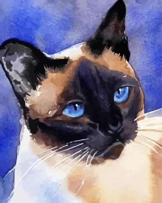 Illustration Siamese Cat Painting By Numberss.png