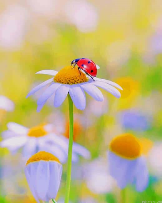 Insect And Flower New Painting By Numberss.png