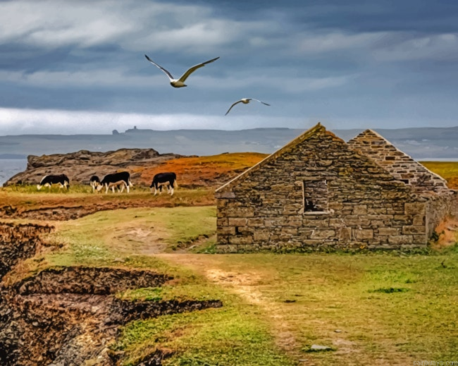 Irelands Coast Ruins Painting By Numberss.png