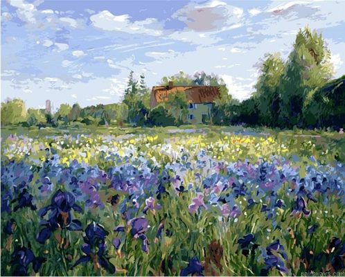 Iris Flowers Field Painting By Numbers.png