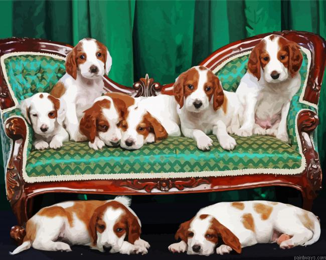 Irish Setters Dogs Painting By Numberss.png