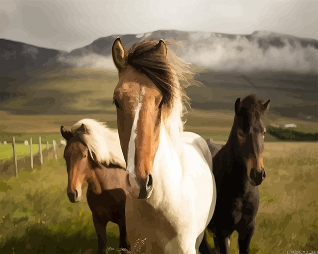 Island Horse New Painting By Numberss.png