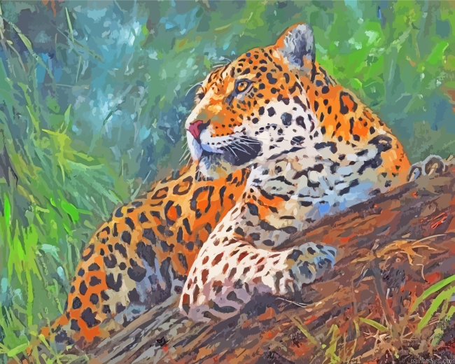 Jaguar In Tree Painting By Numberss.png