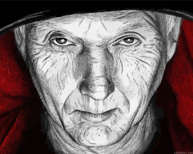 Jigsaw Character Painting By Numberss.png