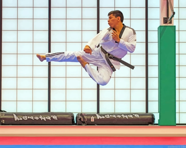 Karate Man Painting By Numberss.png