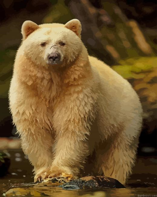 Kermode Bear New Painting By Numberss.png