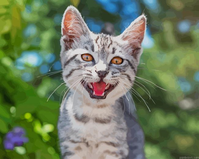 Kitten Meowing New Painting By Numberss.png