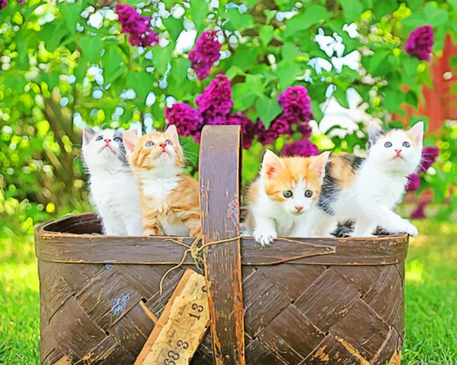 Kittens In Basket New Painting By Numberss.png
